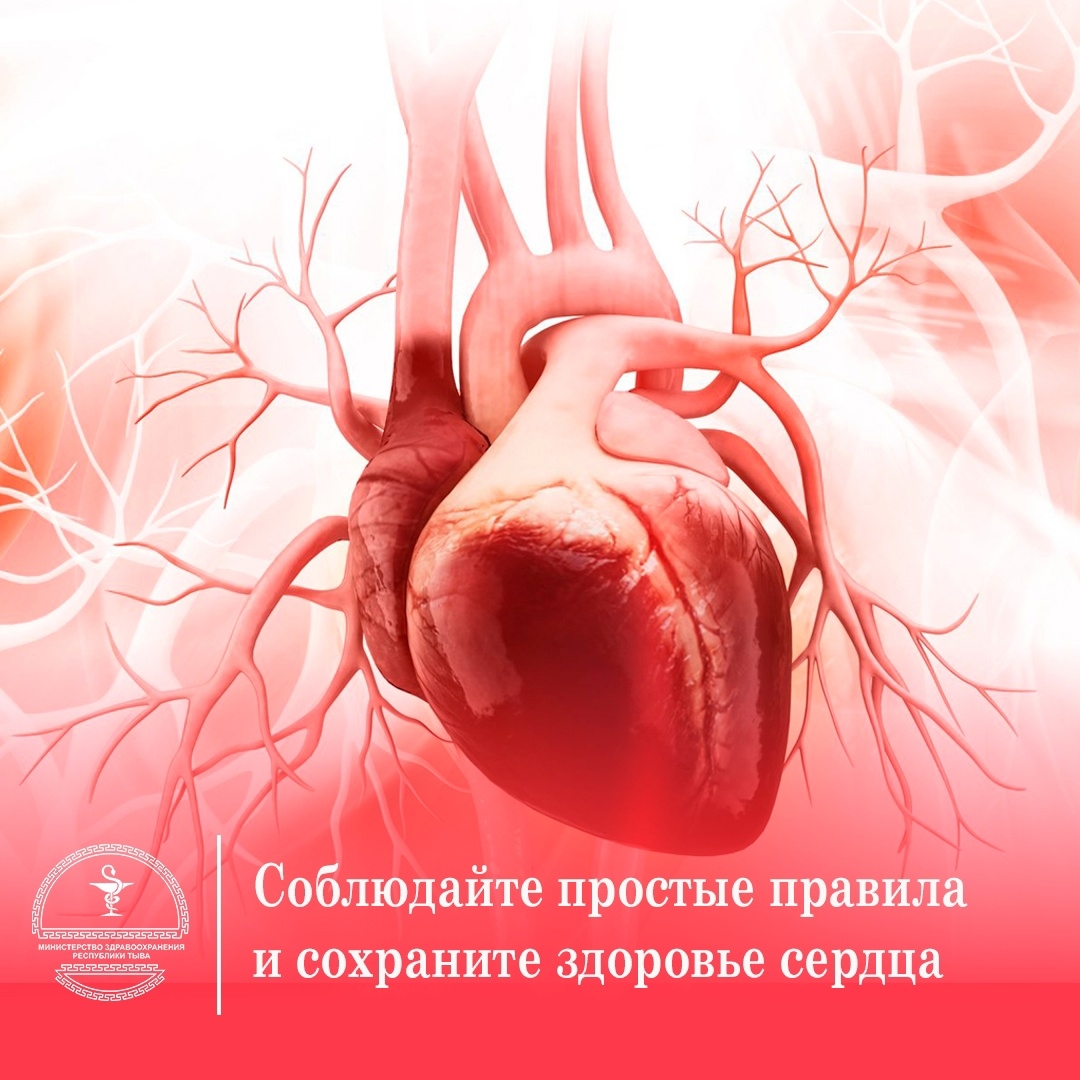 JTJfpZ54 eJ5zT8GIoeOORy1zLSJ2sCp3qWlPDhtFY1CeQLpcUmKKJzV36sGKU9t478EQDPiRk8NAEaBuuJNbYqf