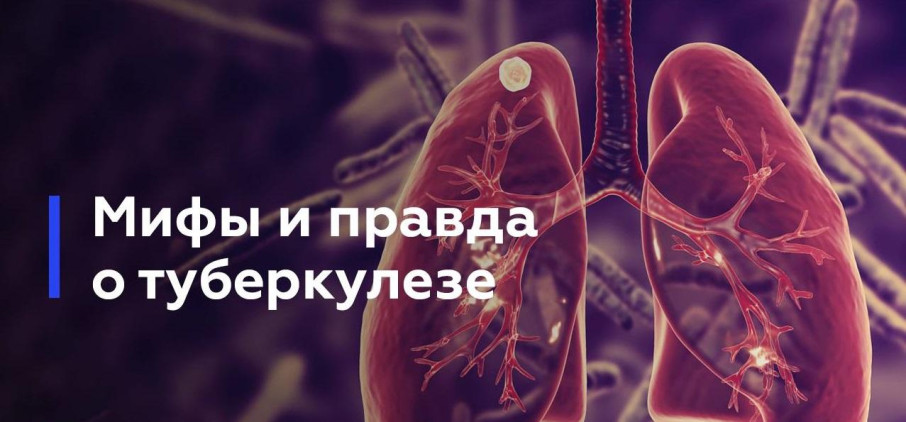 a86a78ab6d6d0621561fff36c9b7d498 1