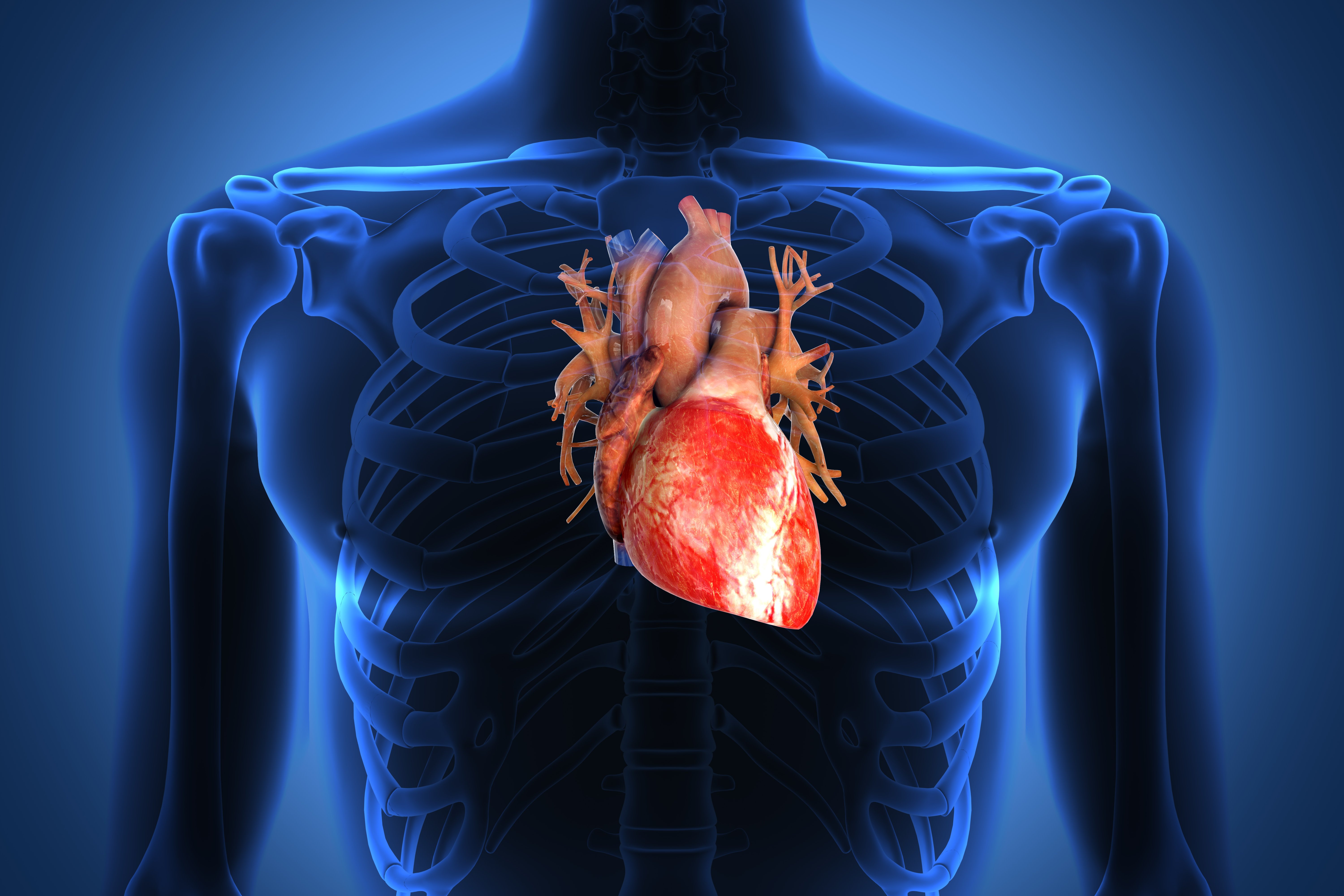 csm shutterstock 126388769 d23589d825