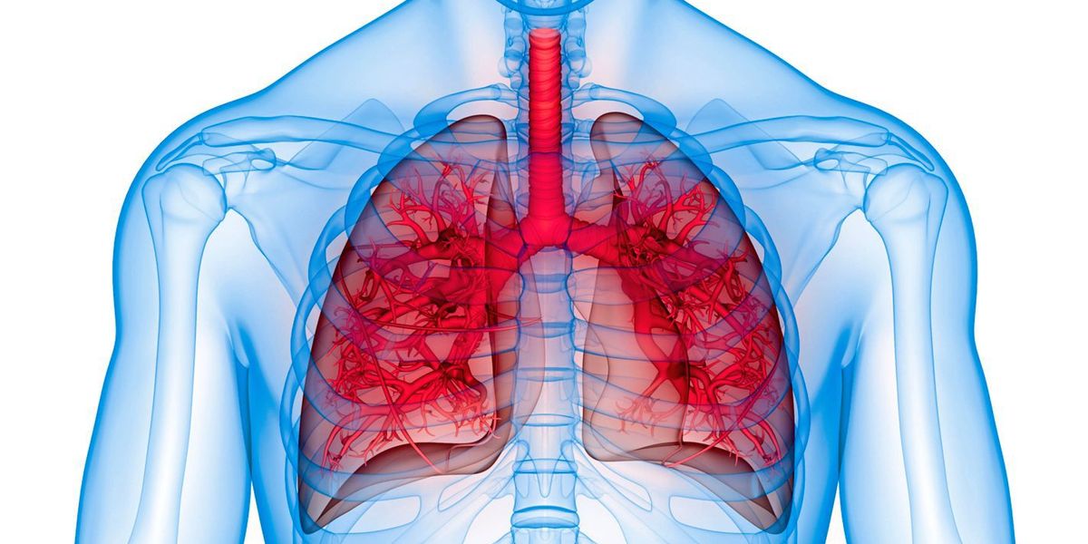 o8z90b8uw04djq2x90uyvm6ct0etd7mx