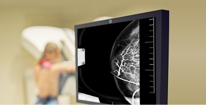 pjs5348zrvb4a7bxdtjus2soe551z71x