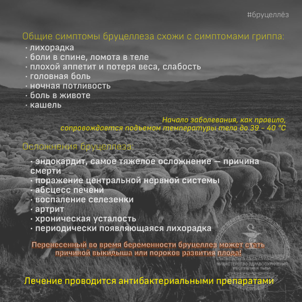 бруцеллёз пути передачи
